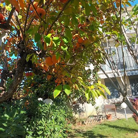 La Casa Degli Ippocastani Colonnella
