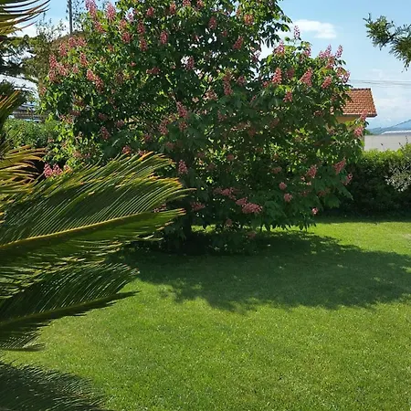 公寓 La Casa Degli Ippocastani *