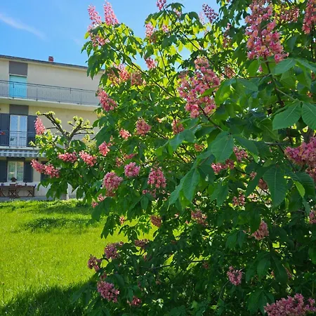 La Casa Degli Ippocastani Apartment