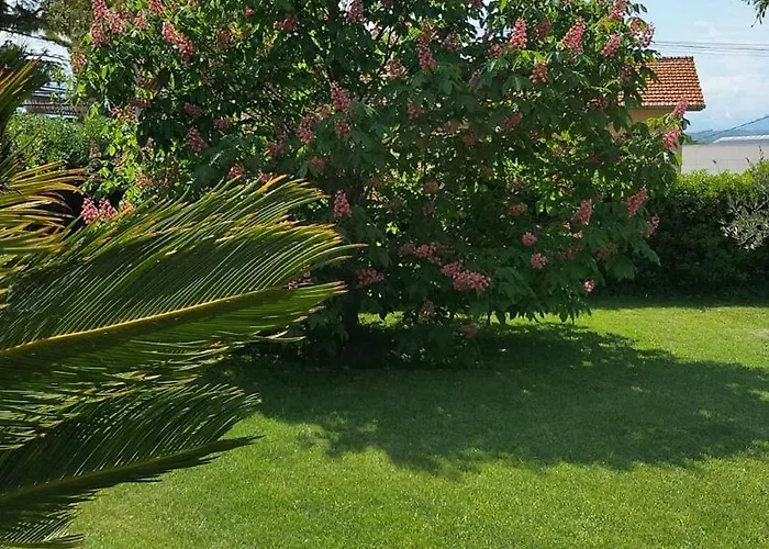 Lägenhet La Casa Degli Ippocastani *