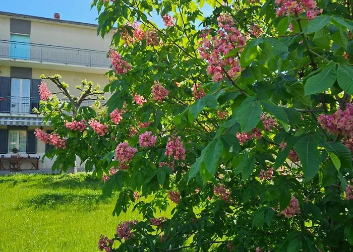 La Casa Degli Ippocastani Lägenhet